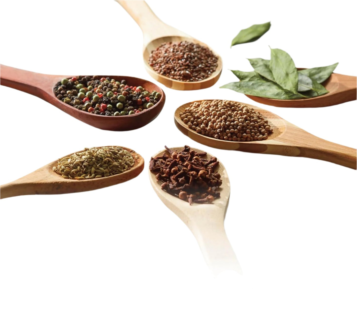 Hamilton Beach Fresh Grind Electric Coffee Grinder for Beans, Spices and More, Stainless Steel Blades, Removable Chamber, Makes up to 12 Cups, Black